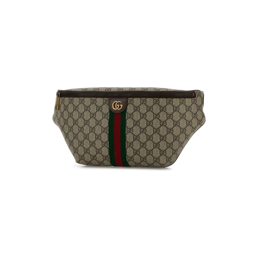 Ophidia large belt bag