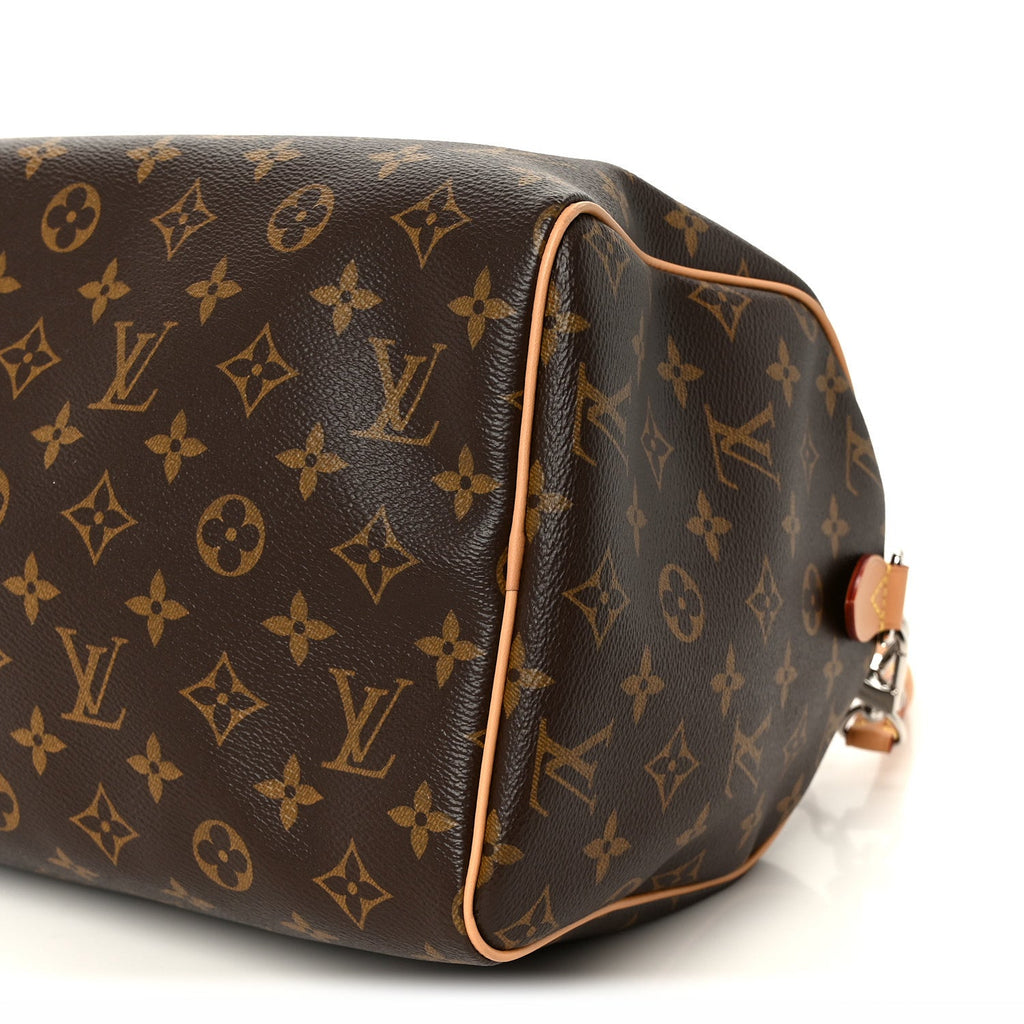 Monogram Speedy Soft Crafty 30