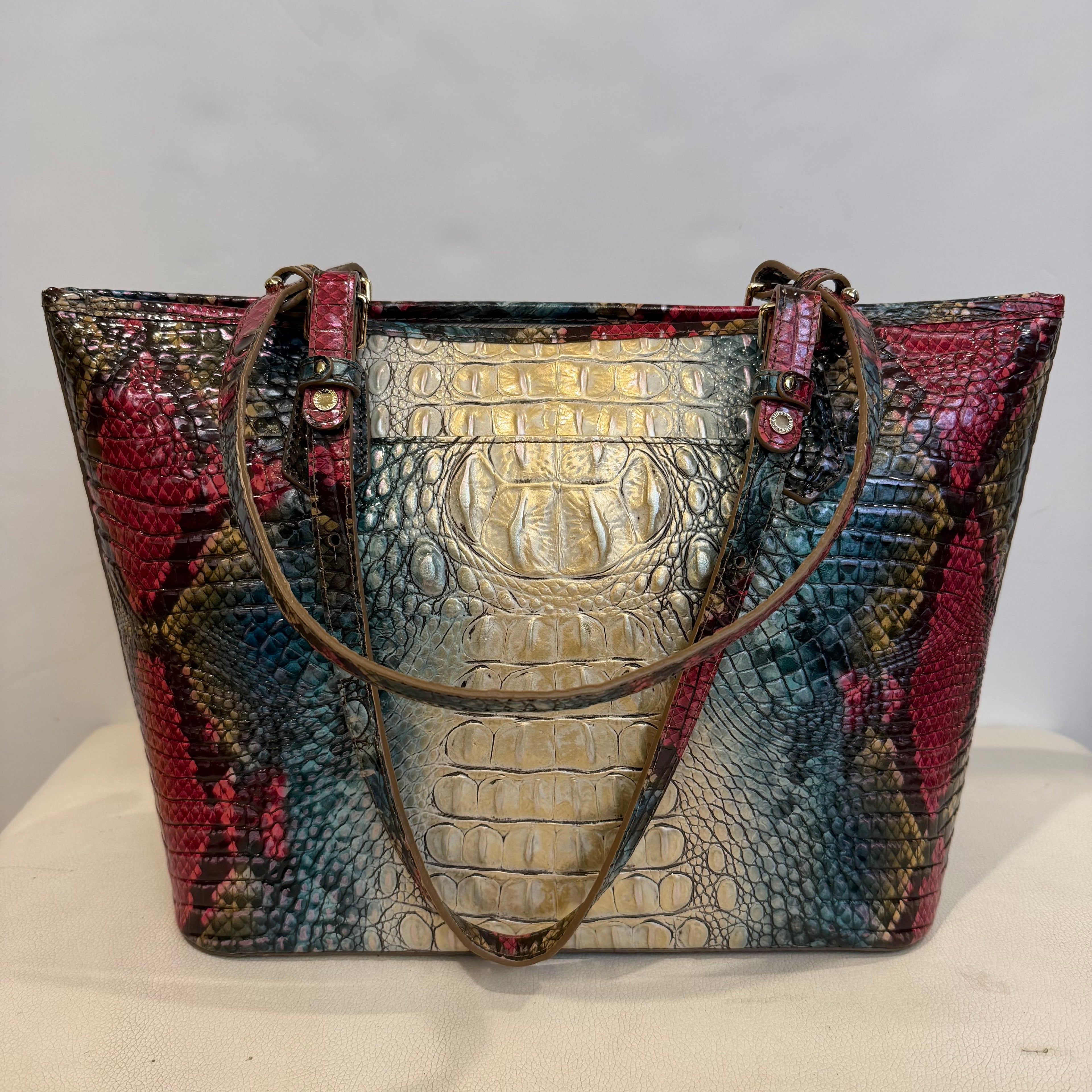 BRAHMIN Medium  Asher Melbourne Tote Komodo Ombré Shoulder Bag NWOT