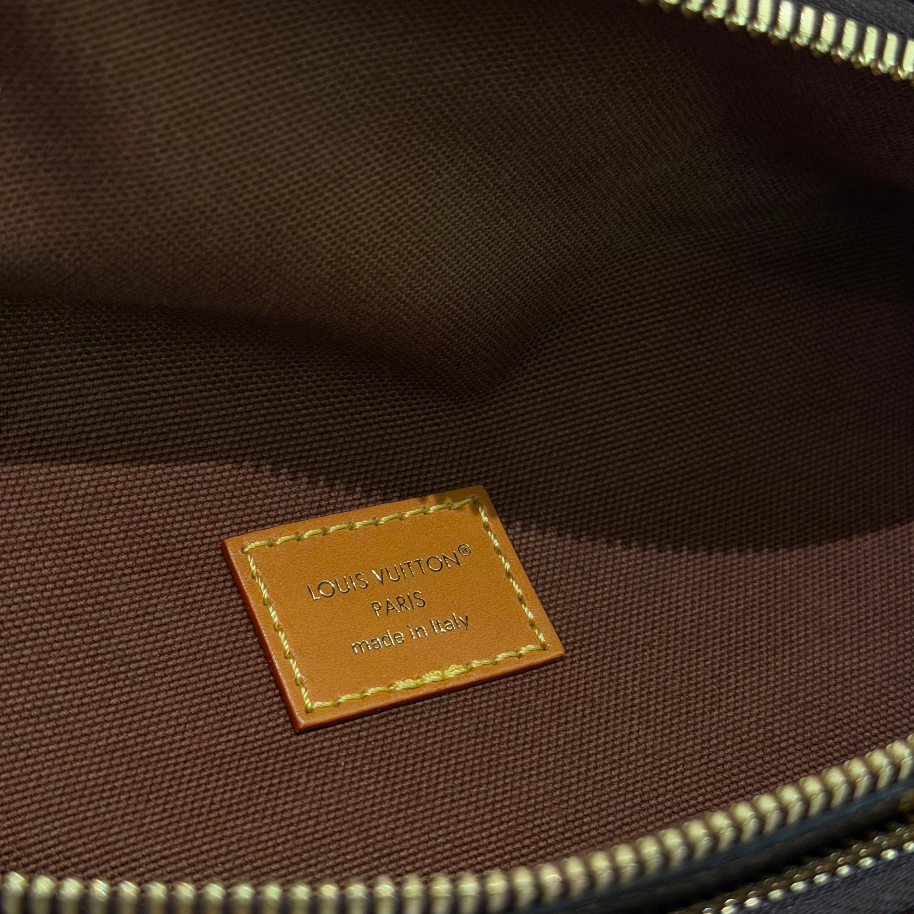 Louis Vuitton Monogram Rush Shoulder Crossbody Bag (Chip Model)