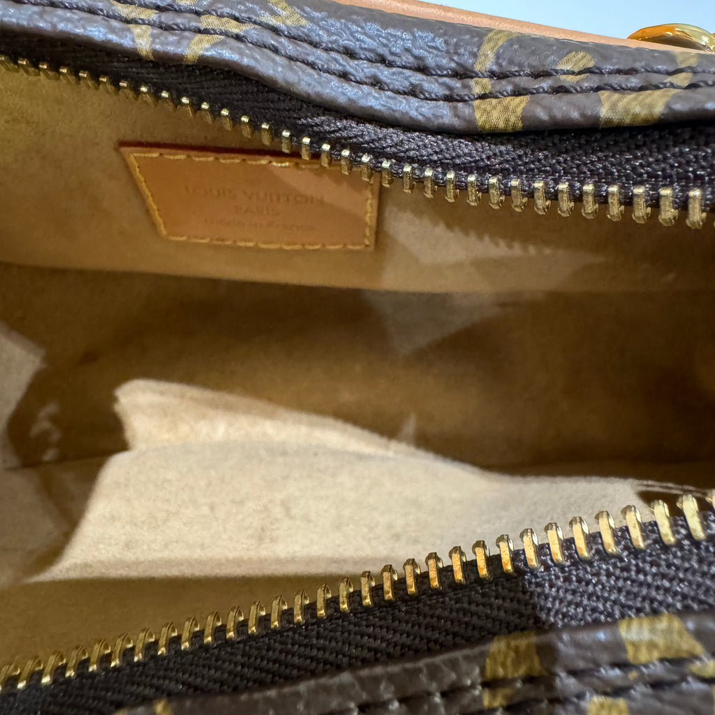 LOUIS VUITTON LOOP PEA POD BAG