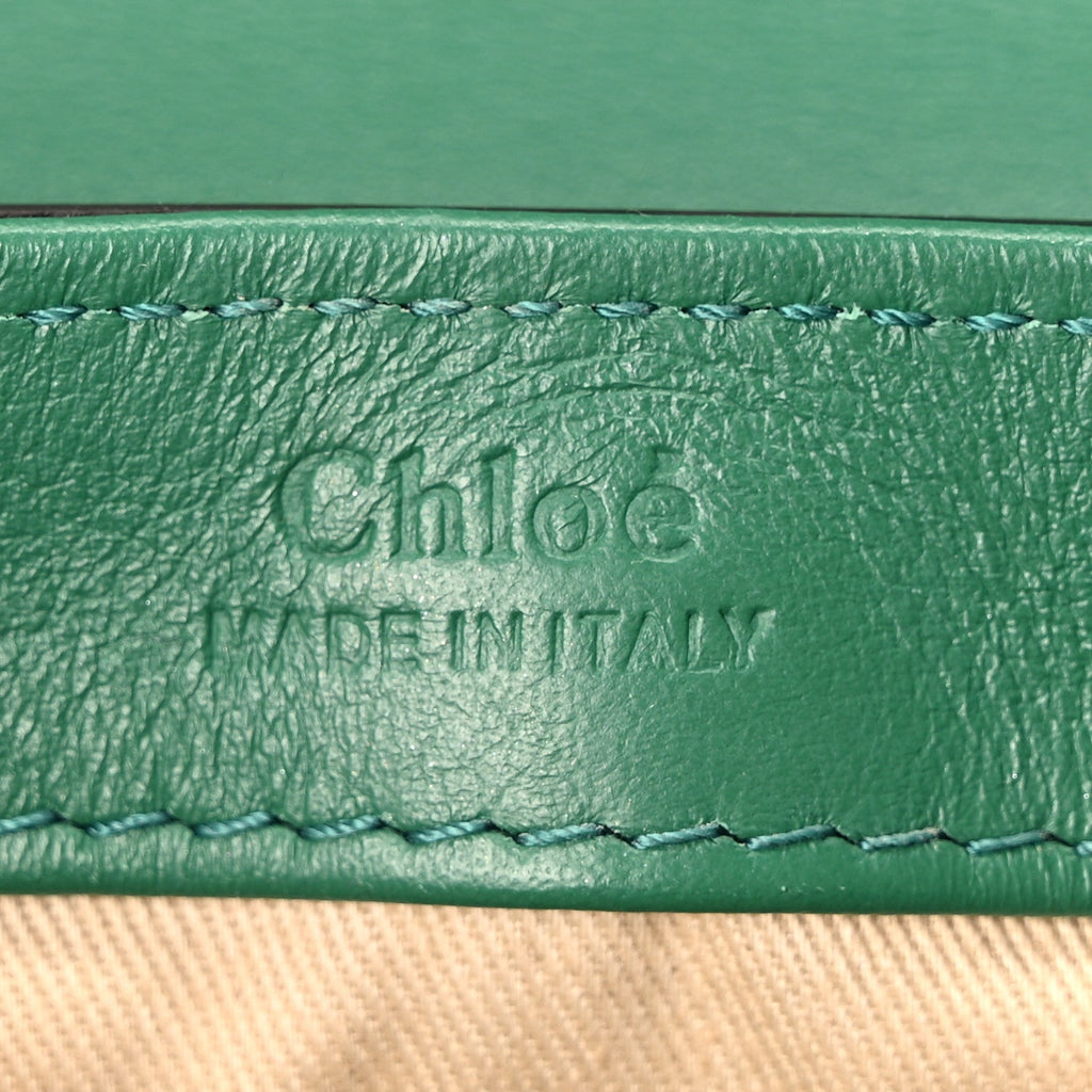 Calfskin Crocodile Embossed Mini C Double Carry Woodsy Green