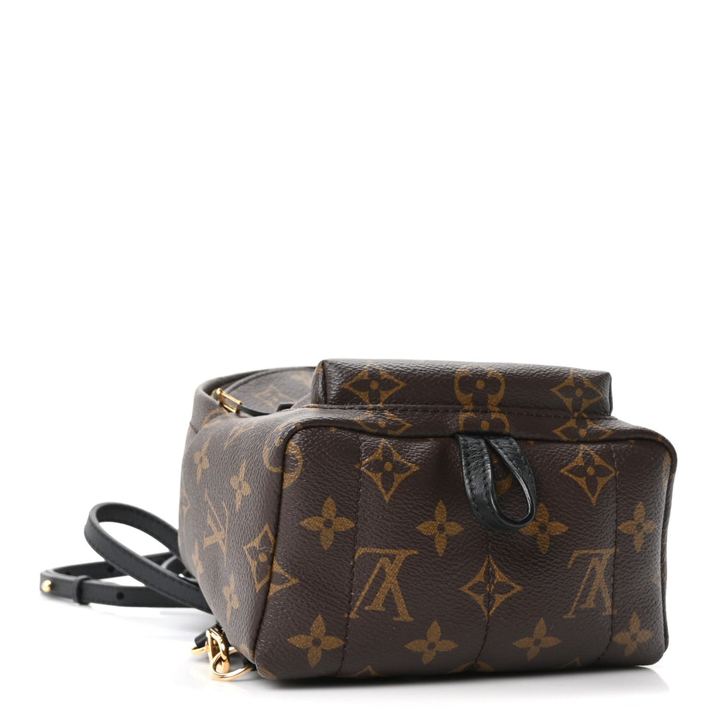 Monogram Palm Springs Backpack Mini