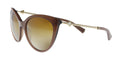 Bulgari Light Brown Cat Eye BV8195KB 5431T5 Sunglasses