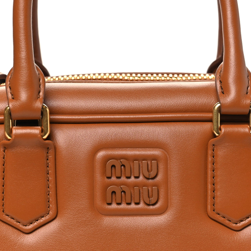 Calfskin Arcadie Top Handle Bag