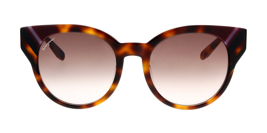 Salvatore Ferragamo Tortoise Round SF883SA 238 Sunglasses