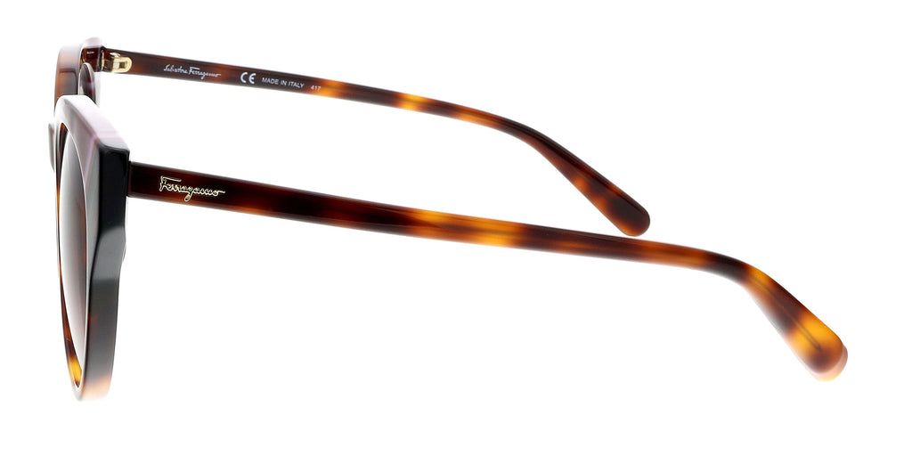 Salvatore Ferragamo Tortoise Round SF883SA 238 Sunglasses