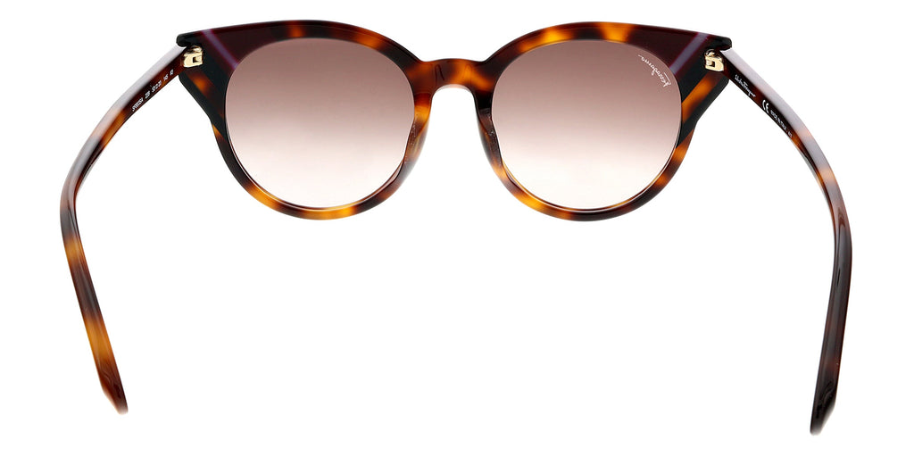 Salvatore Ferragamo Tortoise Round SF883SA 238 Sunglasses