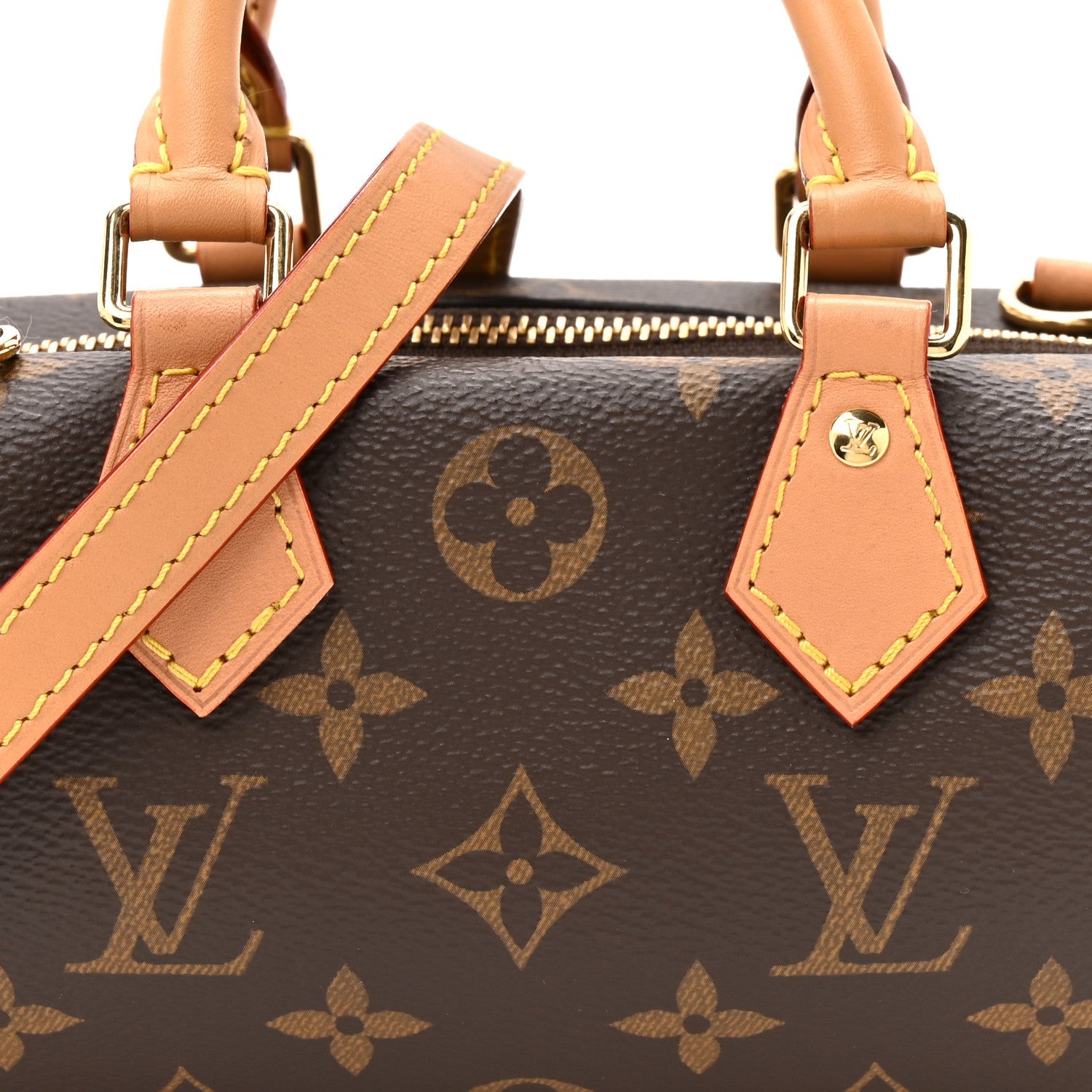 Monogram Nano Speedy Dating