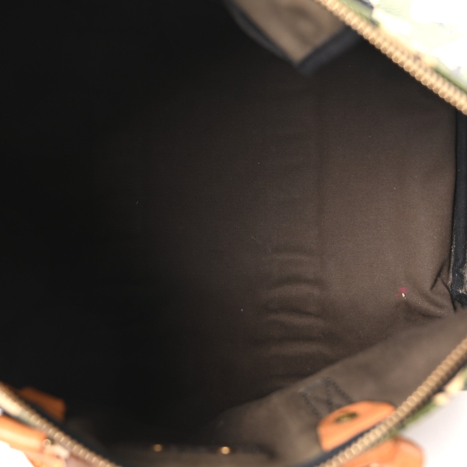Monogram Camouflage Speedy 35