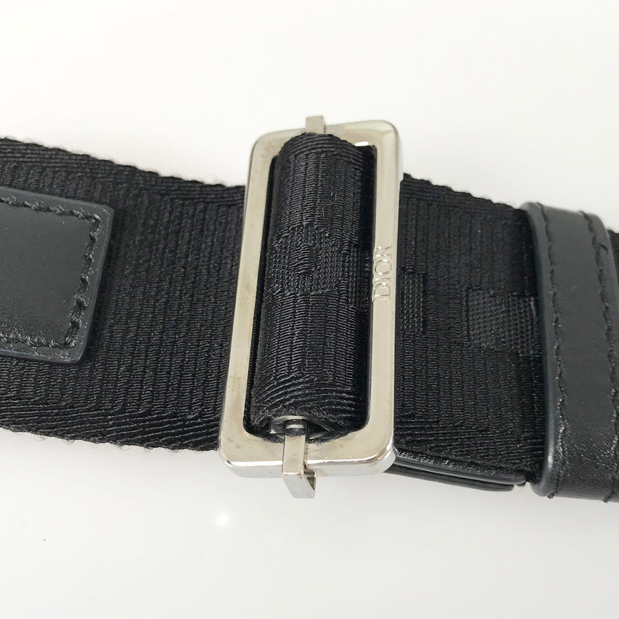 Dior Oblique Mini Roller Hand bag