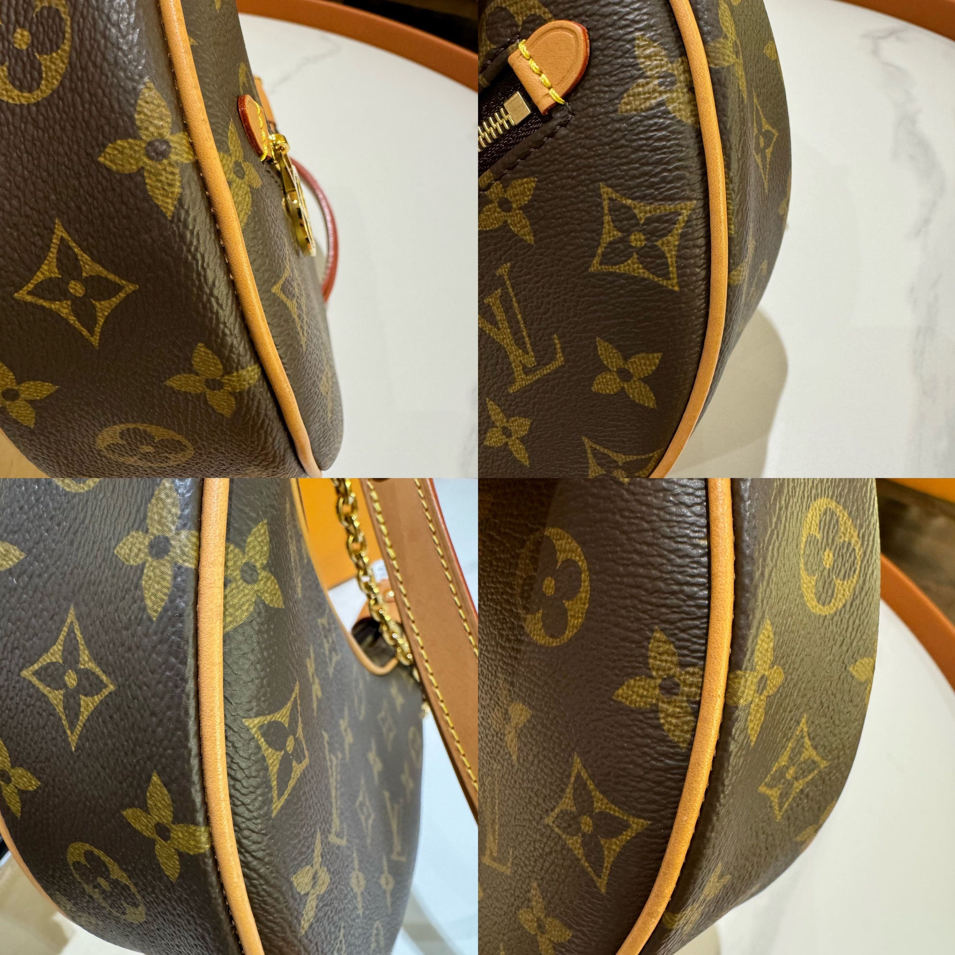 LOUIS VUITTON LOOP PEA POD BAG