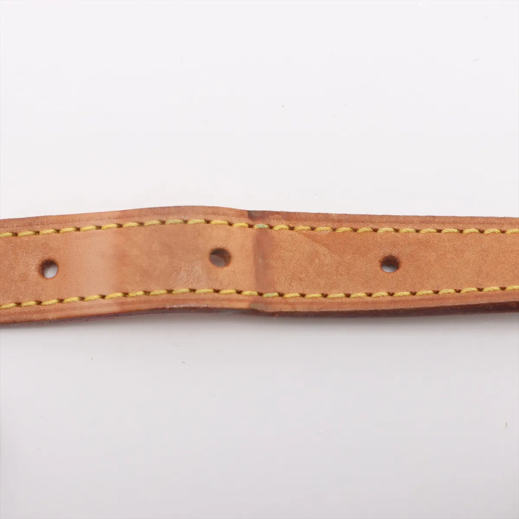 Louis Vuitton Monogram Viva Cite PM