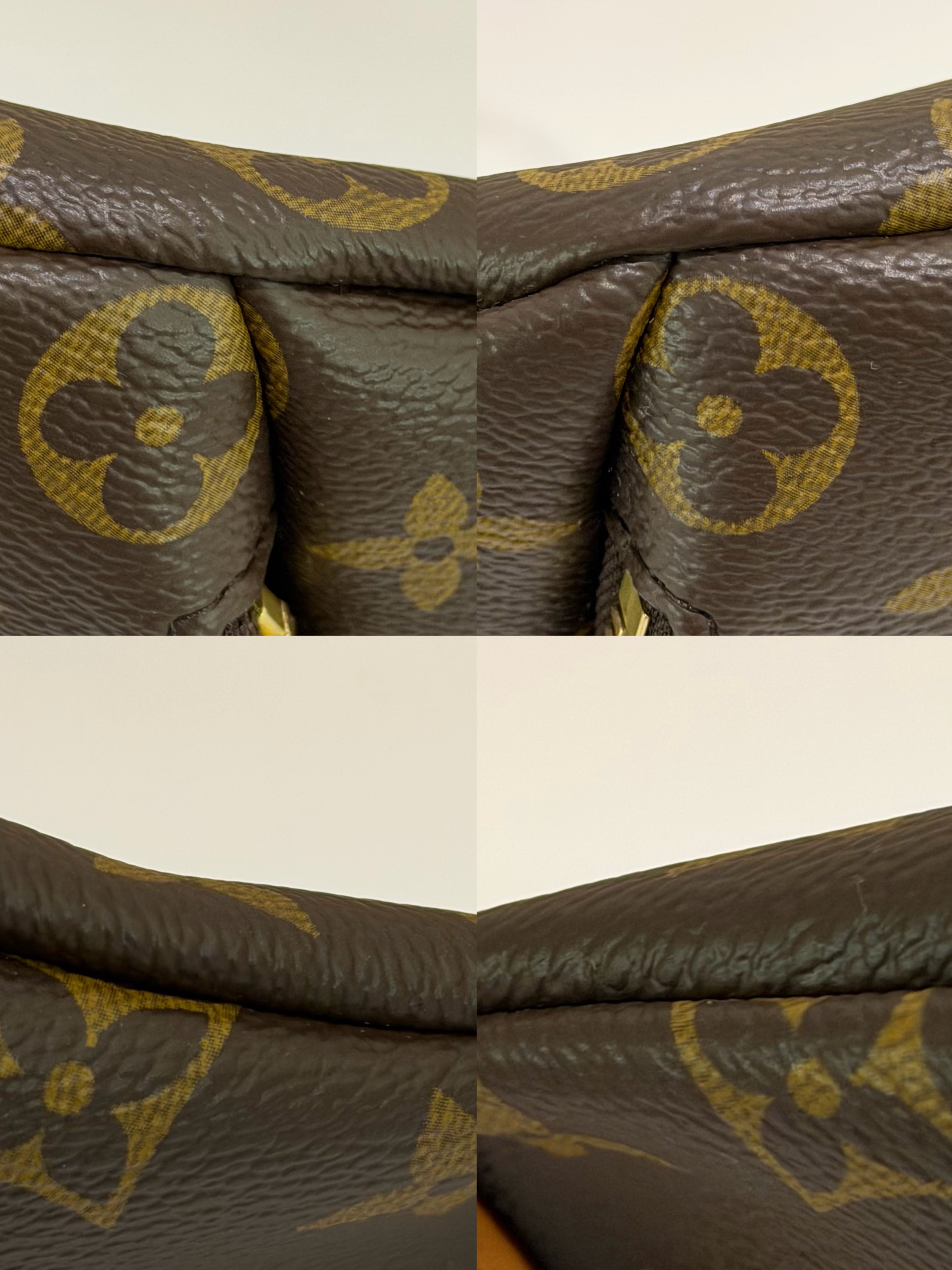 Louis Vuitton Monogram Rush Shoulder Crossbody Bag (Chip Model)