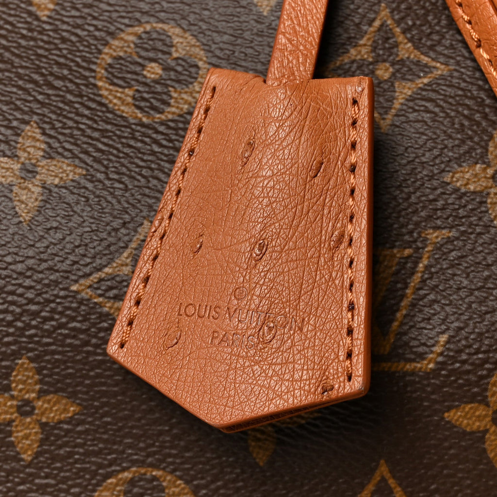Monogram Speedy Soft 30 Boho