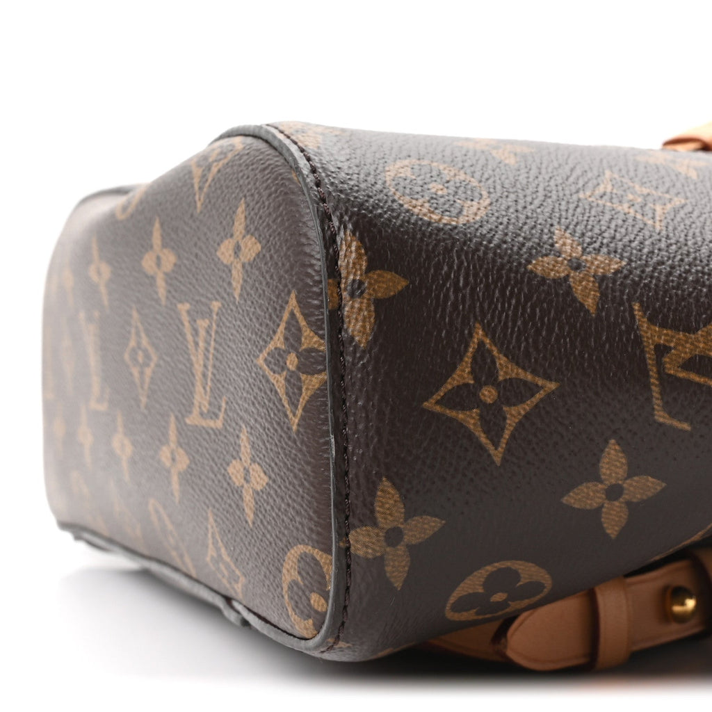 Monogram Montsouris NM Backpack
