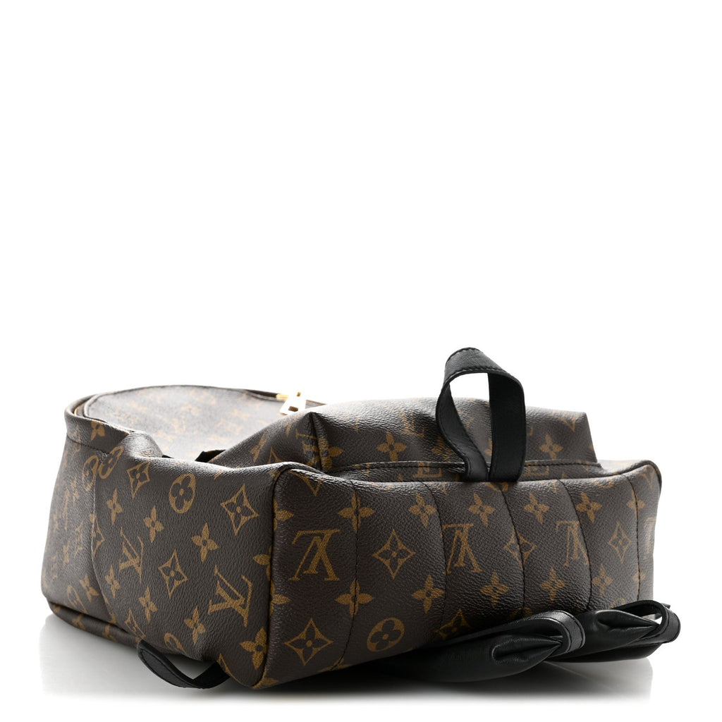 Monogram Palm Springs Backpack MM