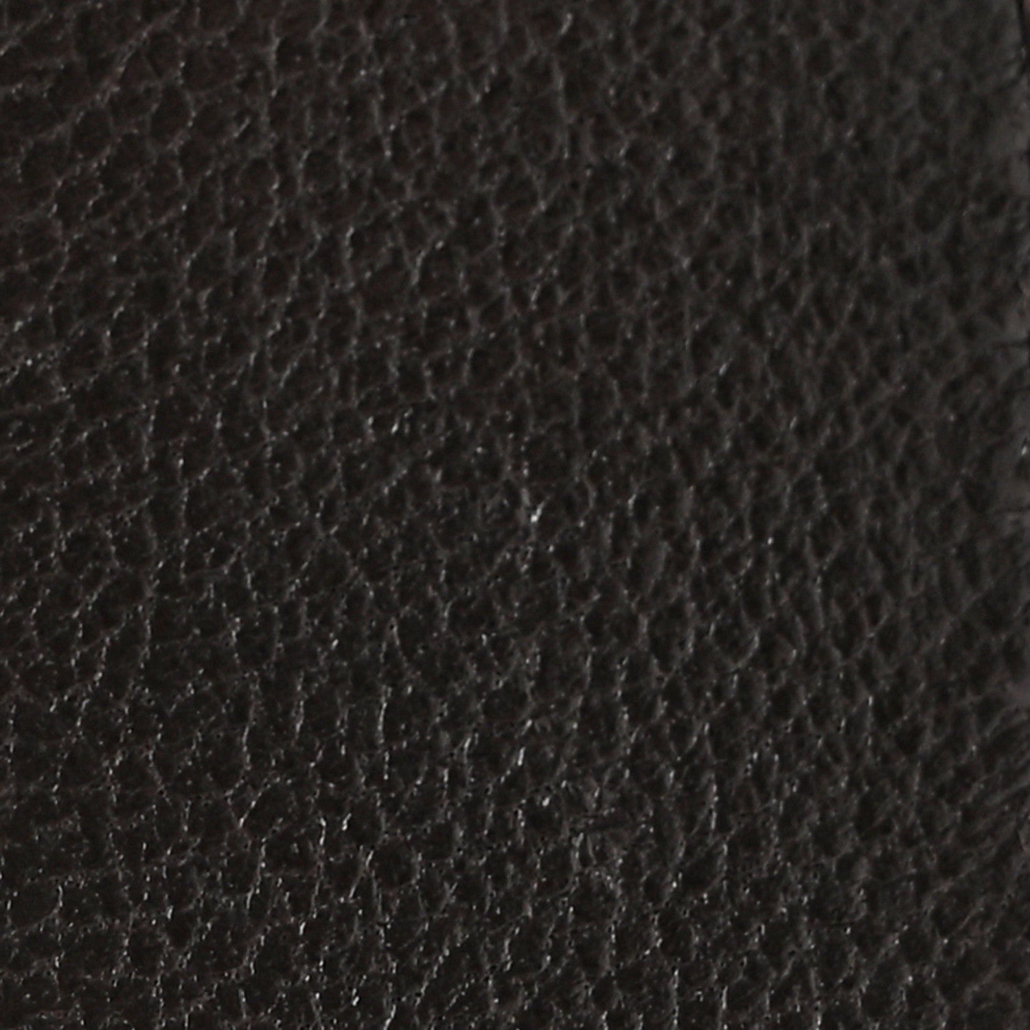 Lambskin Quilted Medium Chanel 19 Flap Dark Brown