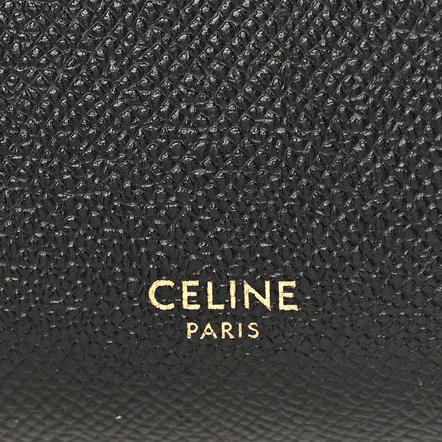 Grained Calfskin Pico Belt Bag Black