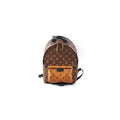 Louis Vuitton Palm Springs Reverse PM Backpack