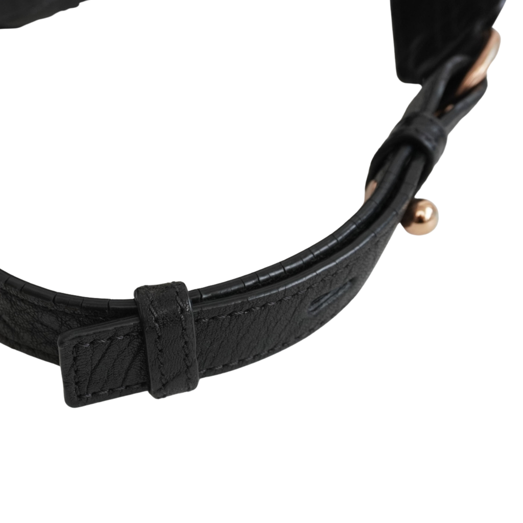Alexander Wang 'Dumbo' Backpack