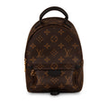 Louis Vuitton Palm Springs Backpack - Mini