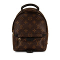 Louis Vuitton Palm Springs Backpack - Mini