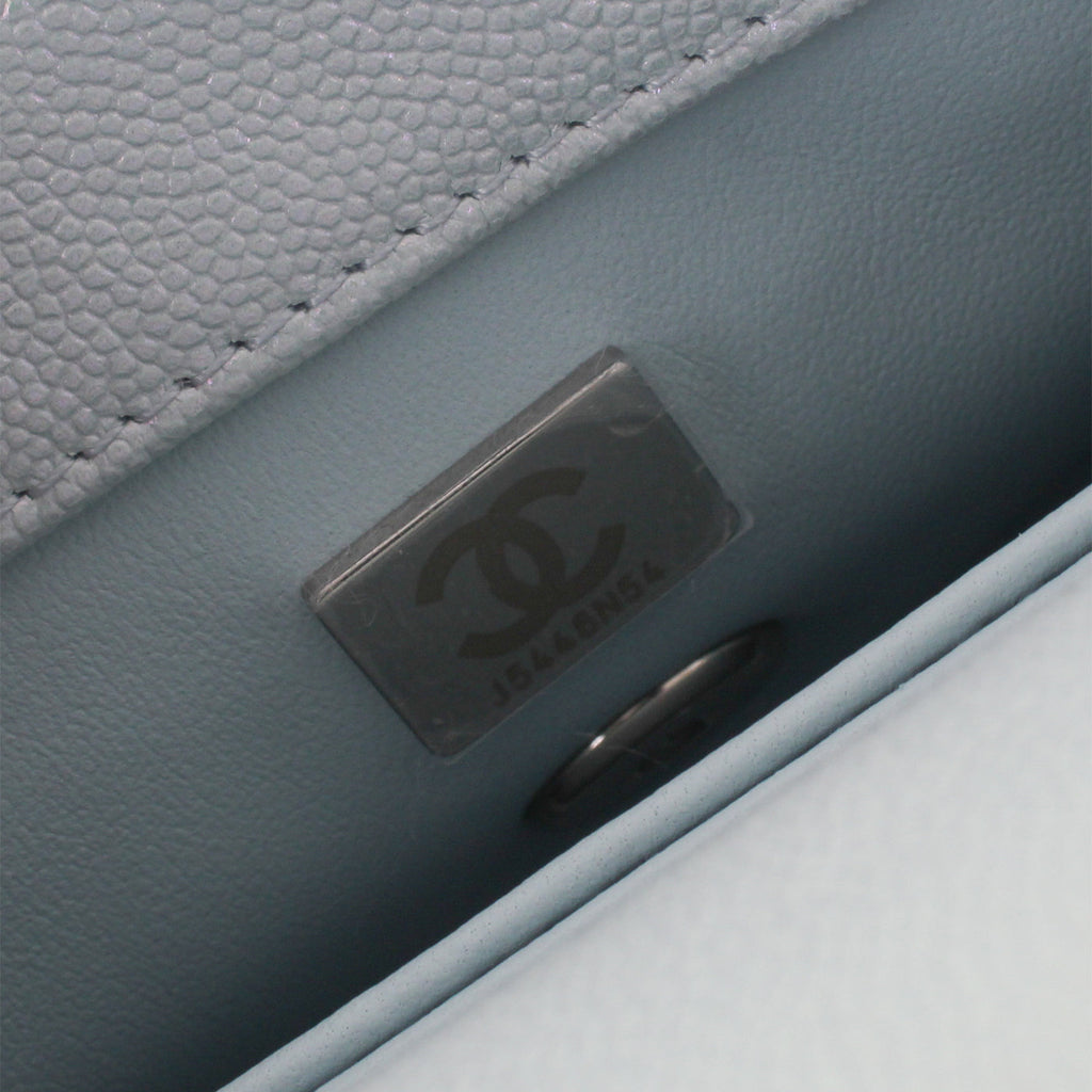 Chanel Mini Coco Handle - Iridescent