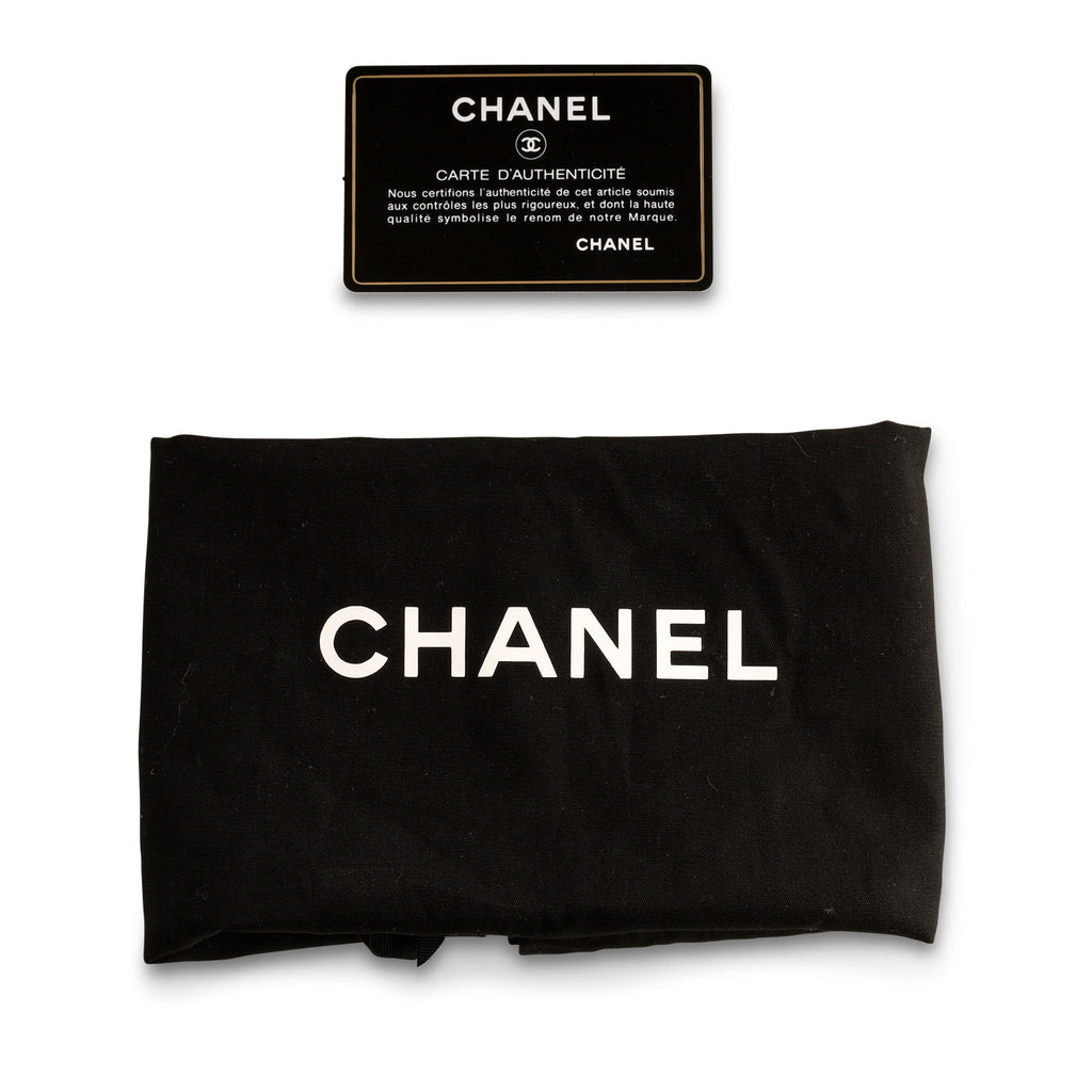 Chanel Small Classic Flap Bag - Raffia