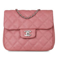 Chanel Seasonal Flap Bag - Pink Caviar