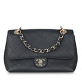 Chanel Chanel Seasonal Flap Bag