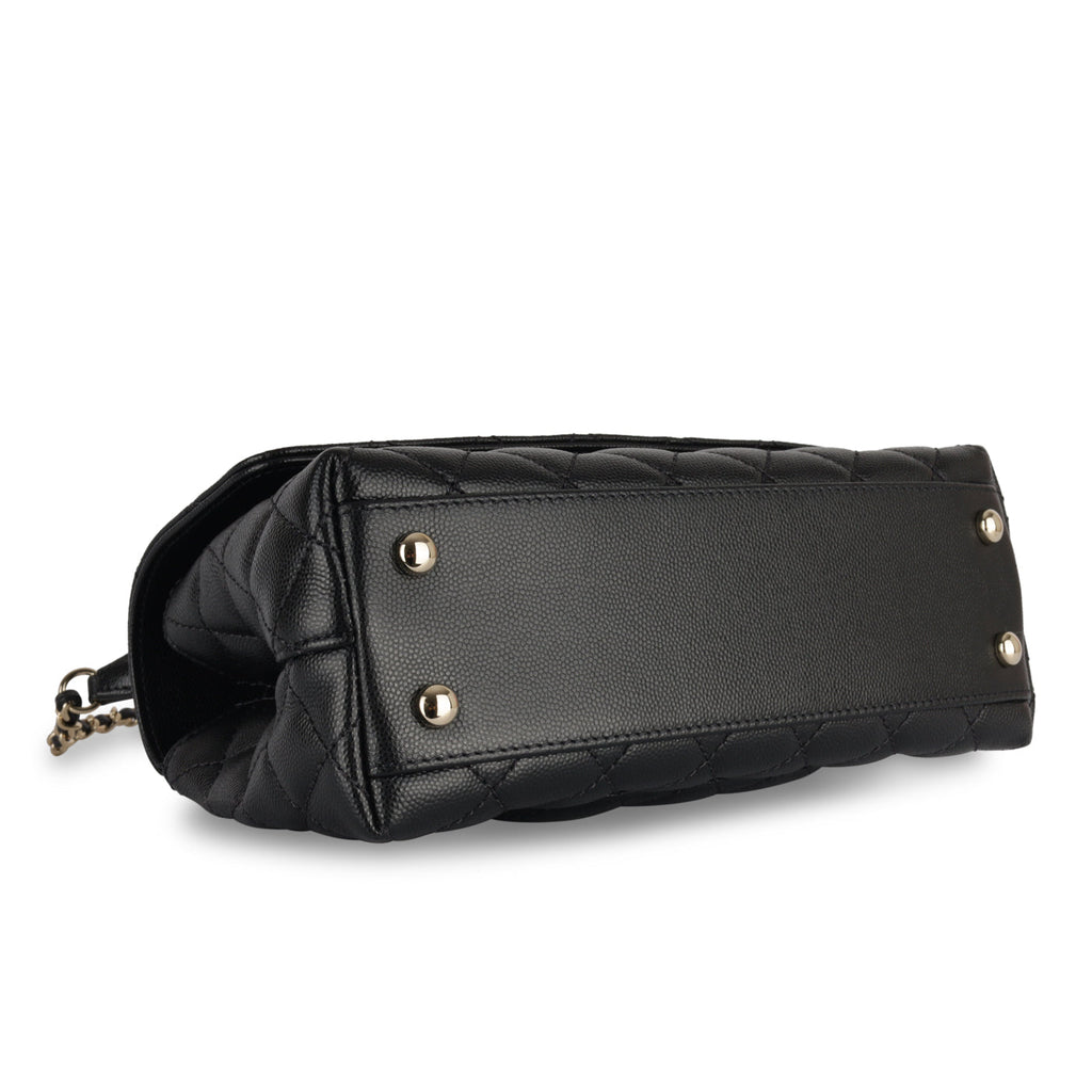 Chanel Small Coco Handle - Lizard Handle