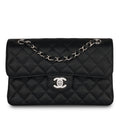 Chanel Classic Flap Bag - Small