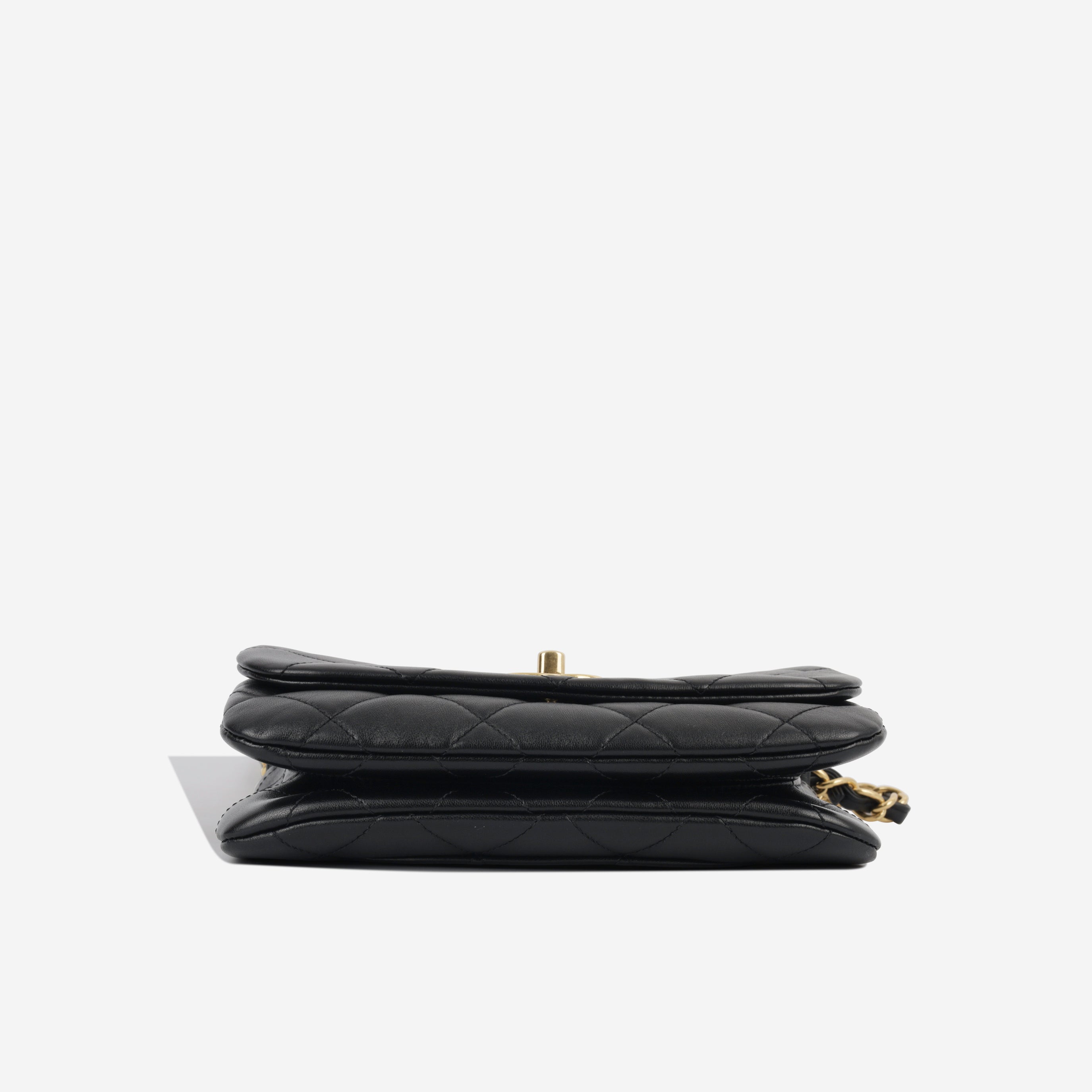 Chanel Seasonal Rainbow Chain Flap - Black Goatskin GHW
