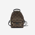 Louis Vuitton Palm Springs Backpack - Mini