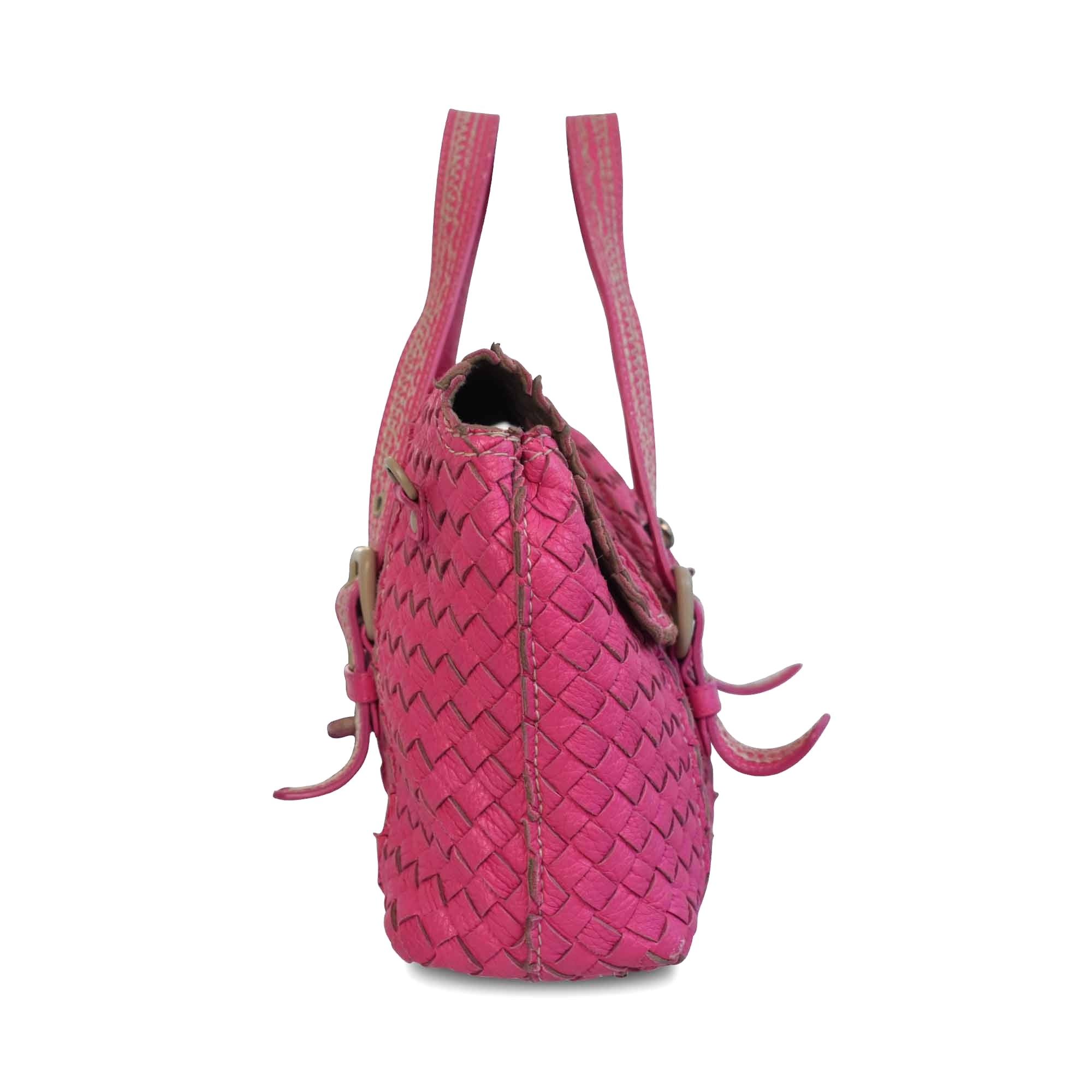 Bottega Veneta 'Vivo Cervo' Satchel