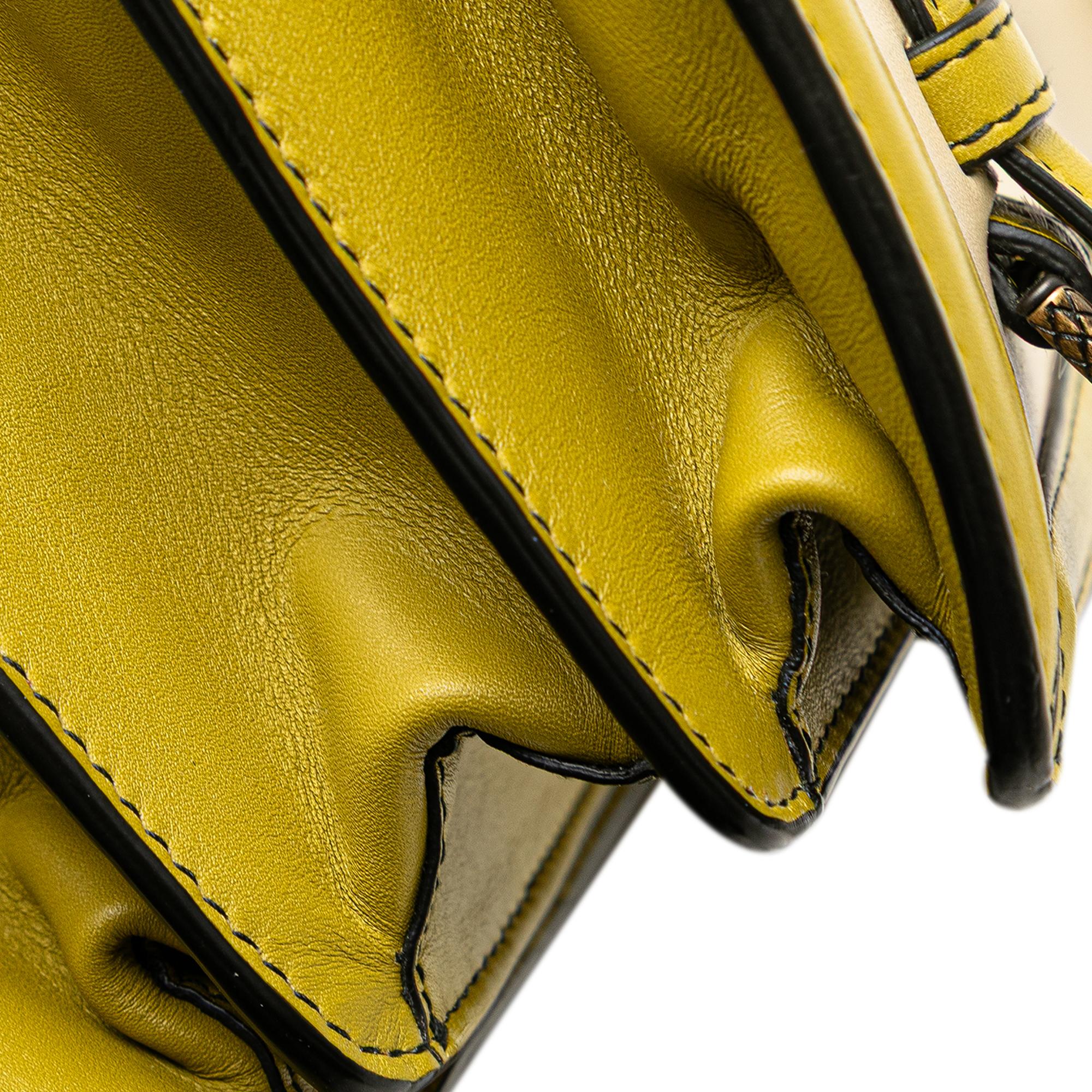 Bottega Veneta Bicolor Leather City Knot Shoulder Bag
