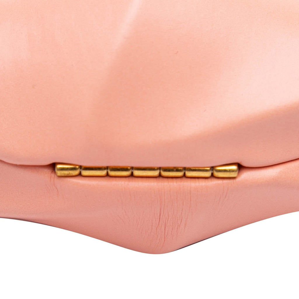 Bottega Veneta Calfskin The Whirl Clutch