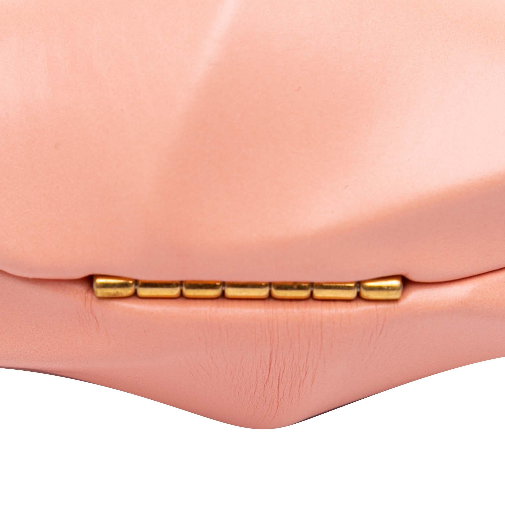 Bottega Veneta Calfskin The Whirl Clutch