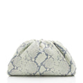 Bottega Veneta Python Embossed Calfskin The Pouch Clutch