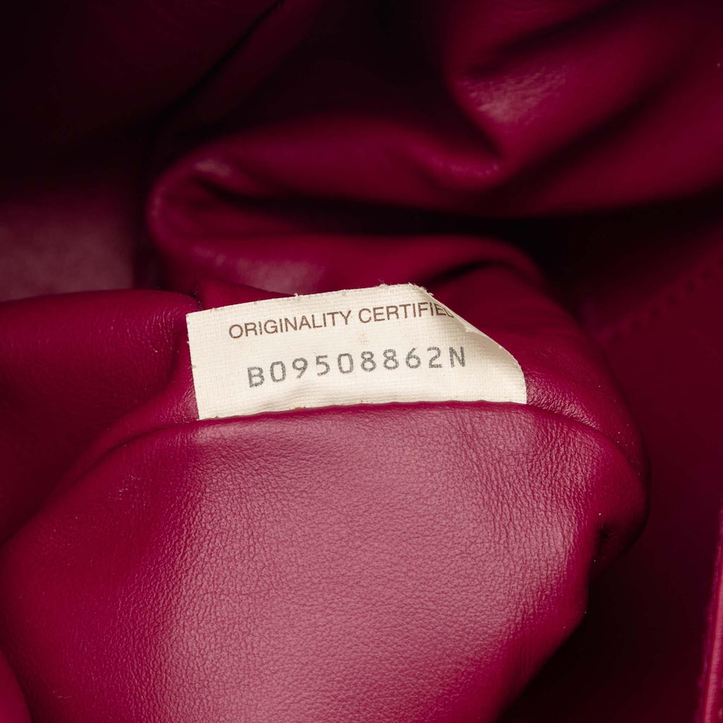 Bottega Veneta Small Calf Beak Bag