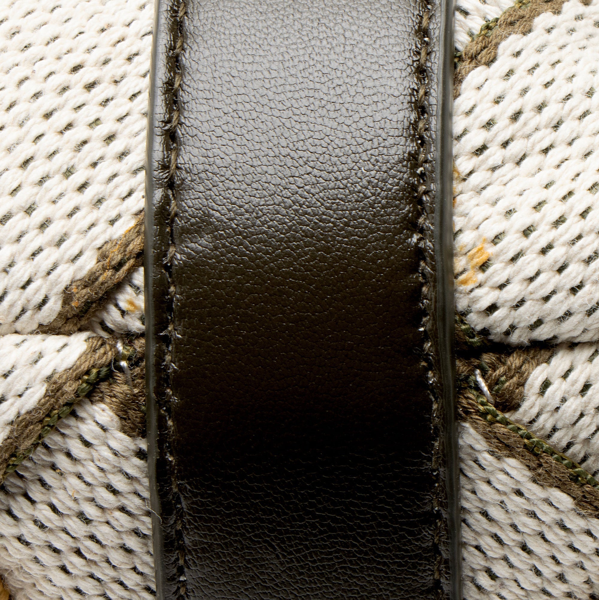 Bottega Veneta Woven Canvas Wallace Mini Shoulder Bag