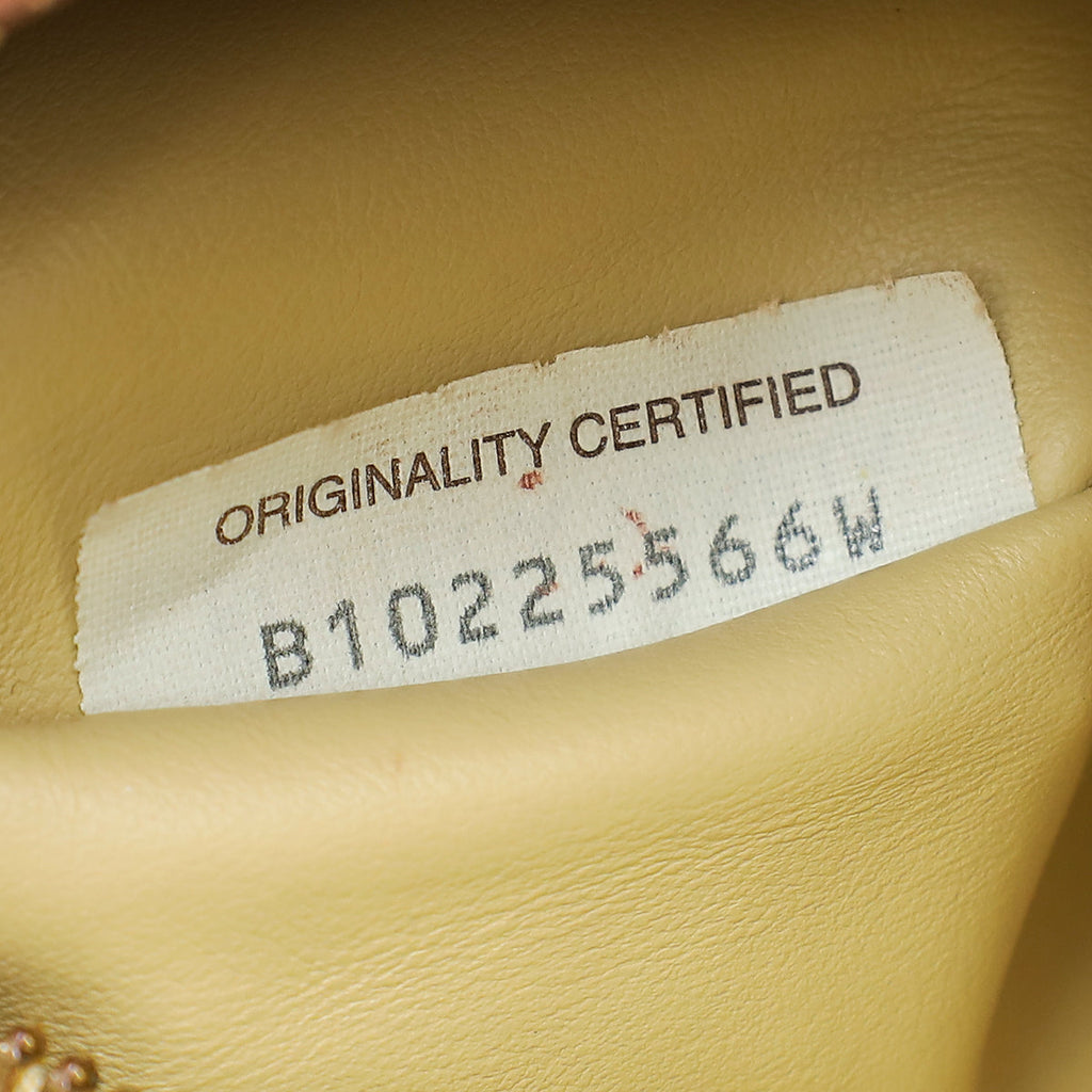 Bottega Veneta Porridge Intrecciato Nappa Jodie Mini Bag