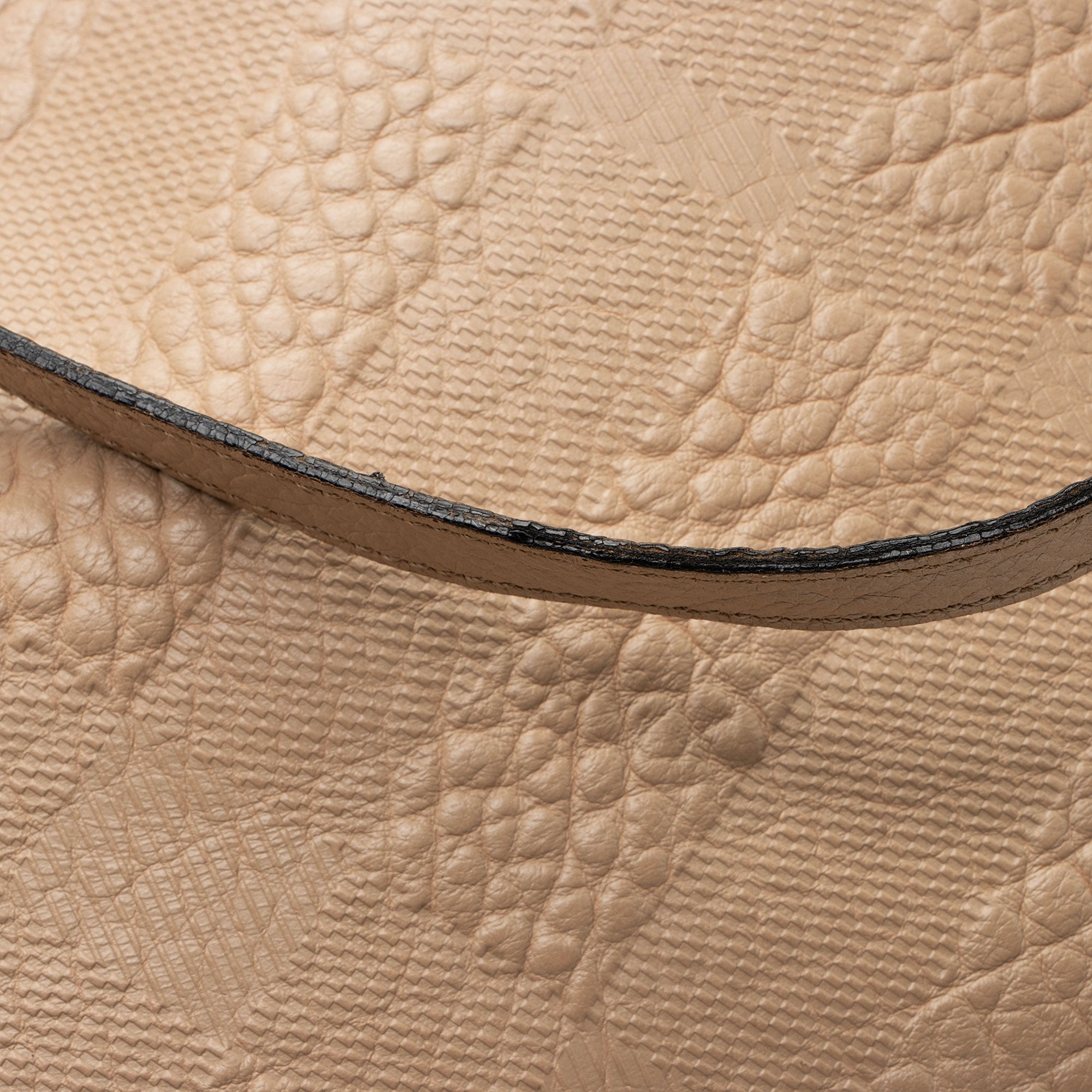 Burberry Embossed Check Leather Canterbury Small Tote (SHF-HNgQeT)