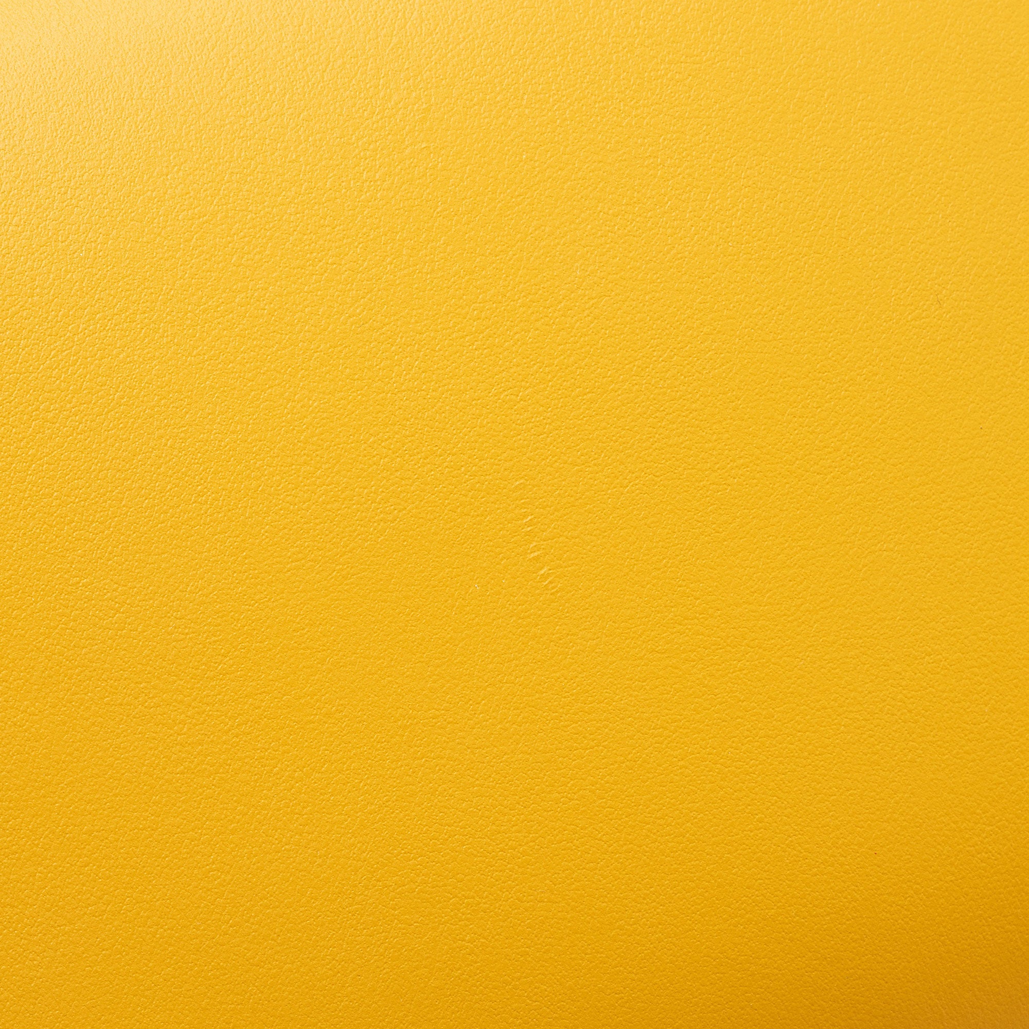Burberry Leather Hazelmere Wallet on Strap (SHF-hVhkN8)