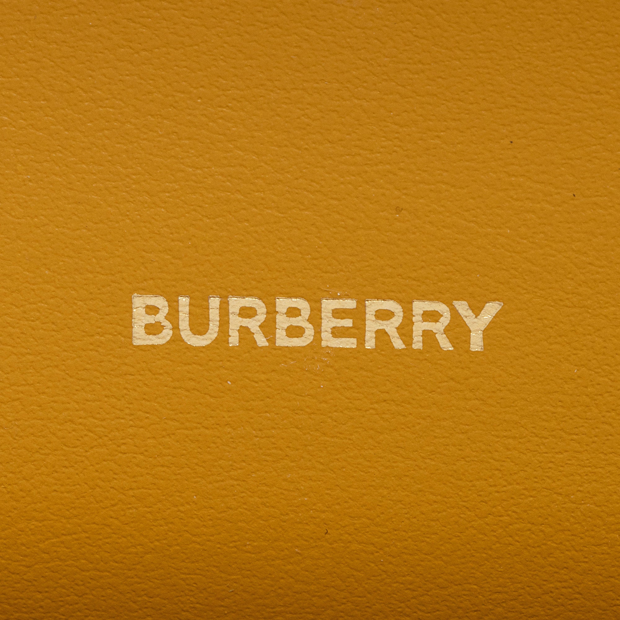 Burberry Leather Hazelmere Wallet on Strap (SHF-hVhkN8)