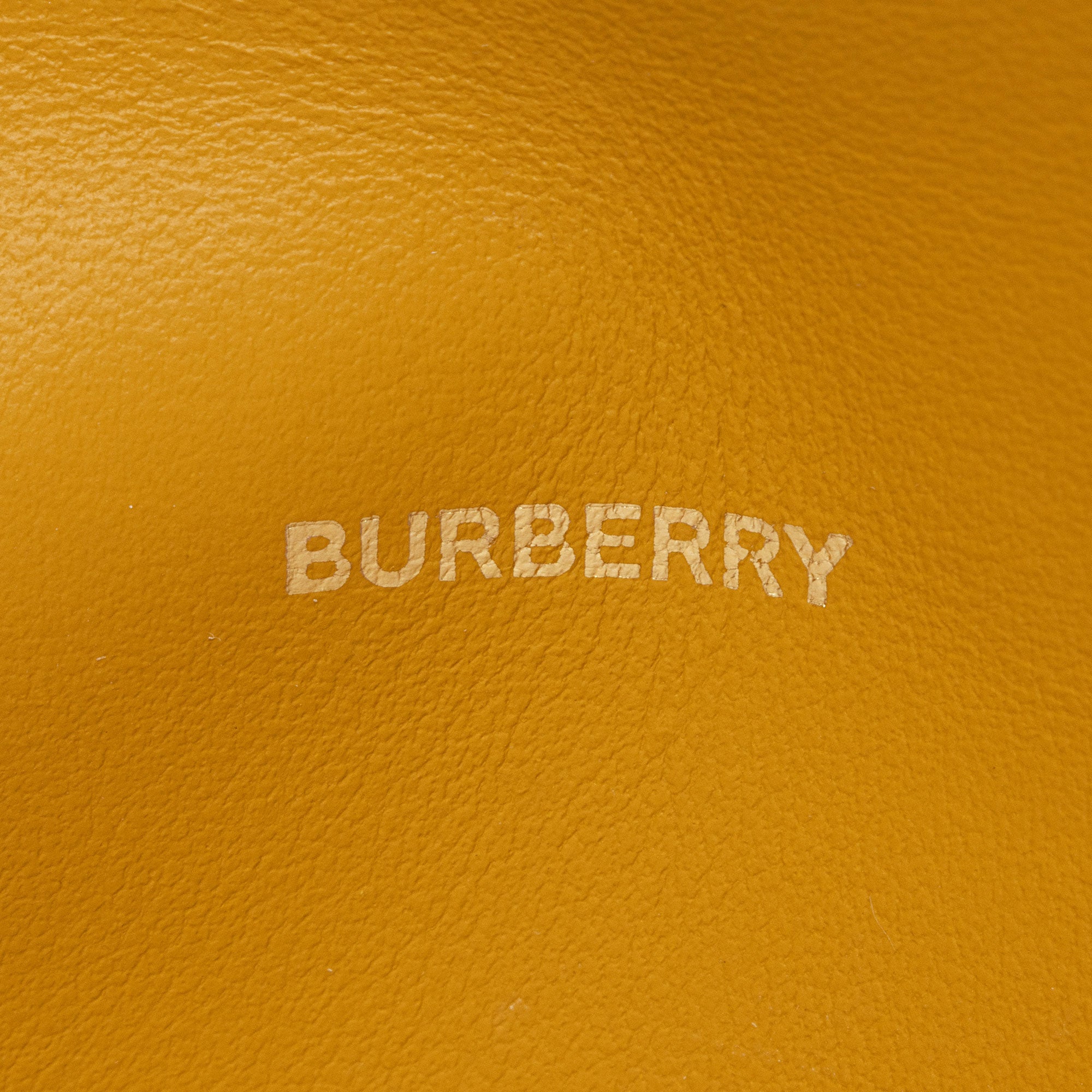 Burberry Leather Hazelmere Wallet on Strap (SHF-PITQIN)