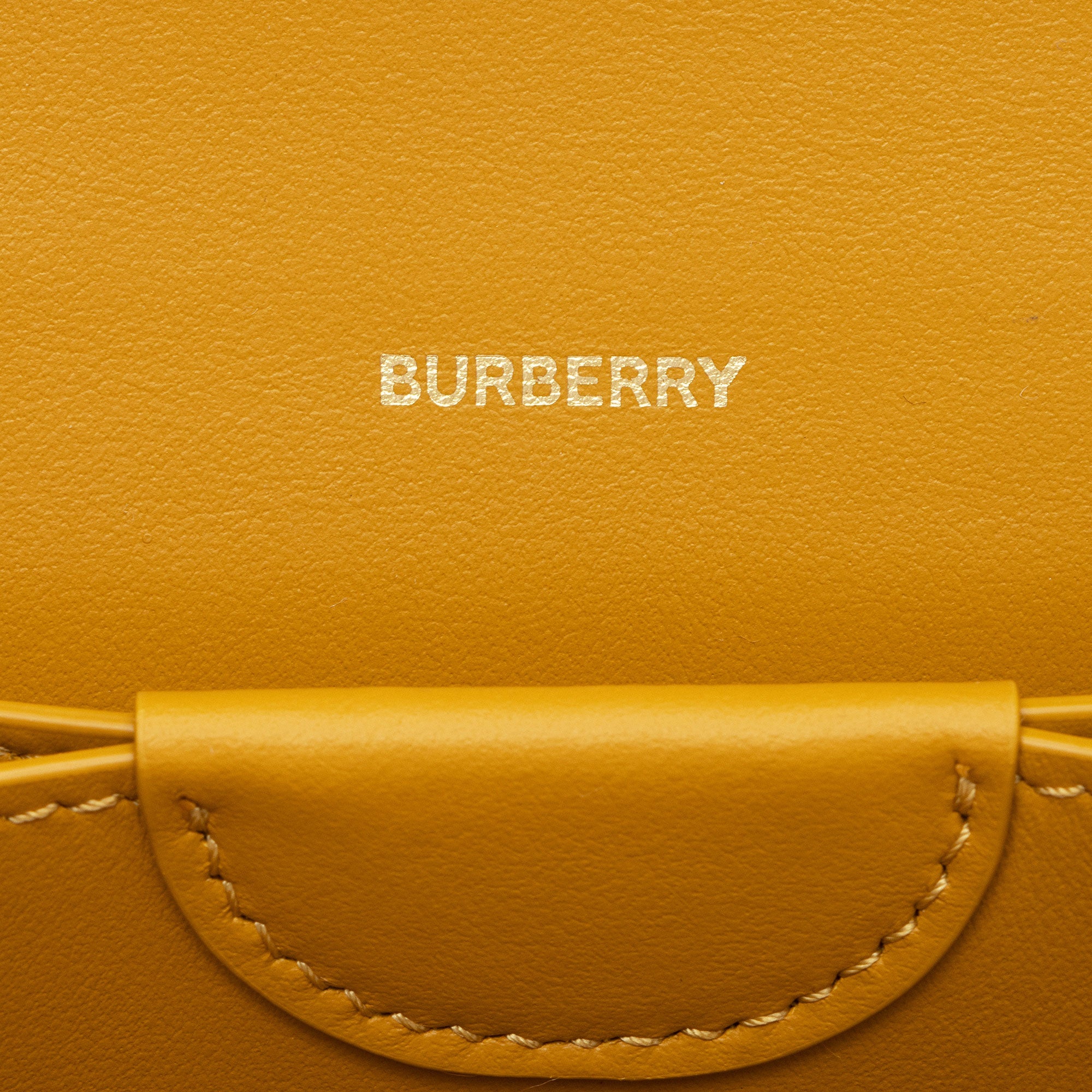 Burberry Leather Hazelmere Wallet on Strap