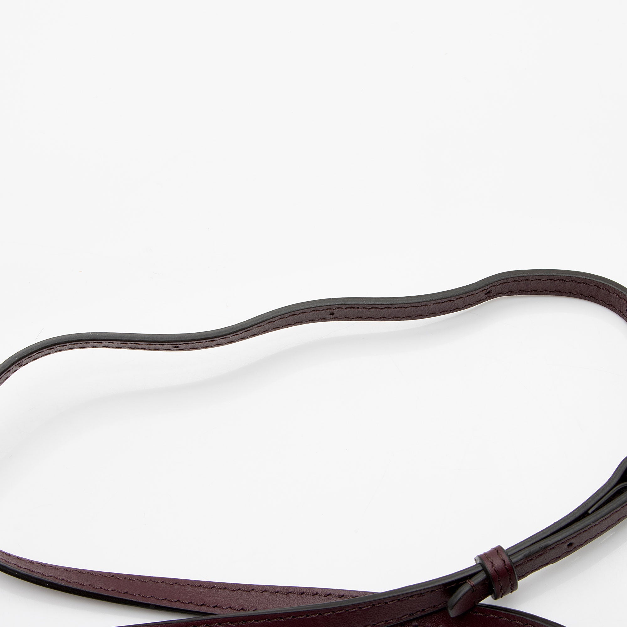 Burberry Leather Hazelmere Wallet on Strap (SHF-waAZED)
