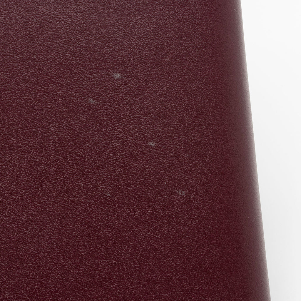 Burberry Leather Hazelmere Wallet on Strap (SHF-waAZED)